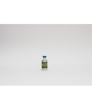 Taher & Sons "Zulaikha" (12ML)